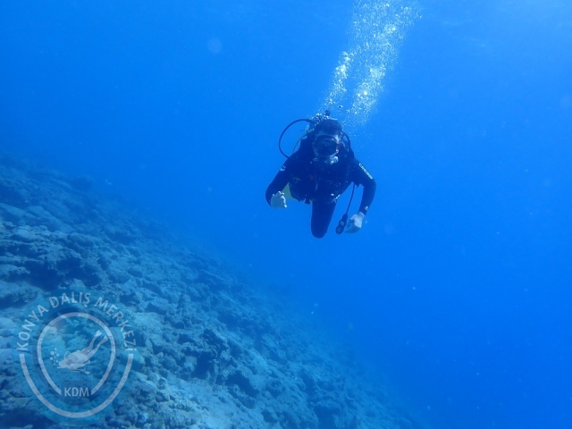 11-12 Eylül Bodrum