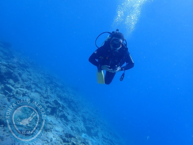 11-12 Eylül Bodrum
