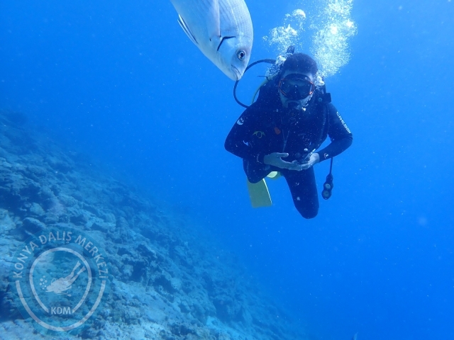 11-12 Eylül Bodrum