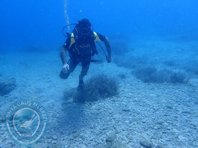 11-12 Eylül Bodrum