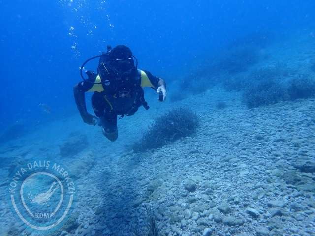 11-12 Eylül Bodrum