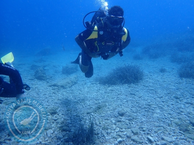 11-12 Eylül Bodrum
