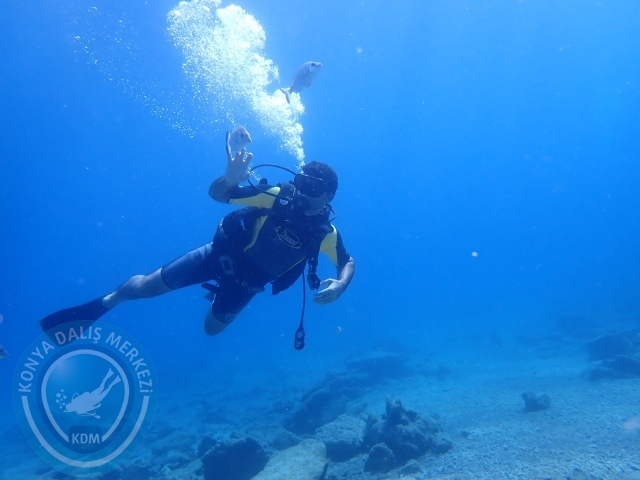 11-12 Eylül Bodrum
