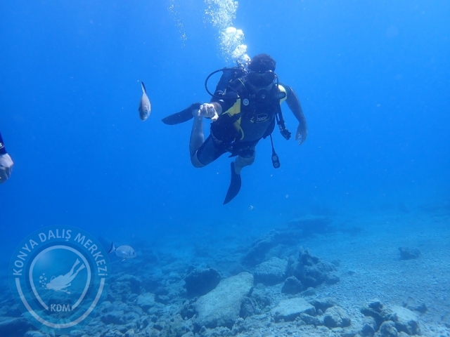11-12 Eylül Bodrum