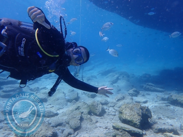11-12 Eylül Bodrum
