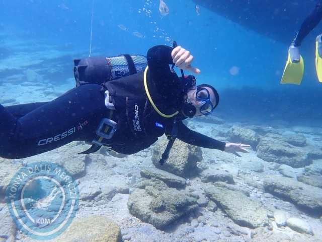 11-12 Eylül Bodrum
