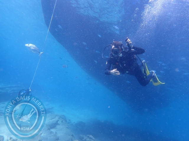 11-12 Eylül Bodrum