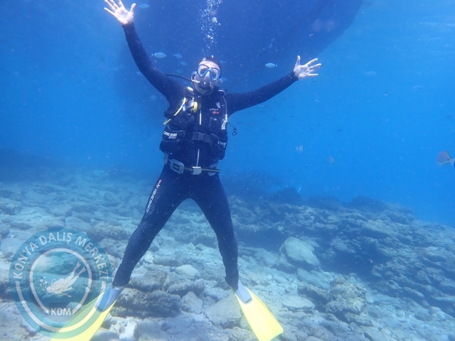 11-12 Eylül Bodrum