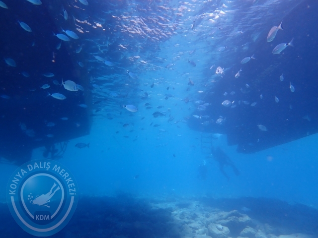 11-12 Eylül Bodrum