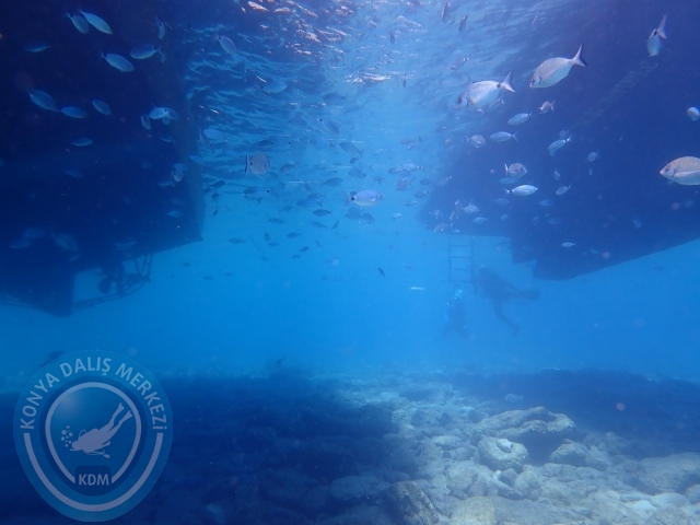 11-12 Eylül Bodrum