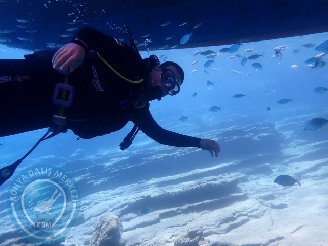 11-12 Eylül Bodrum