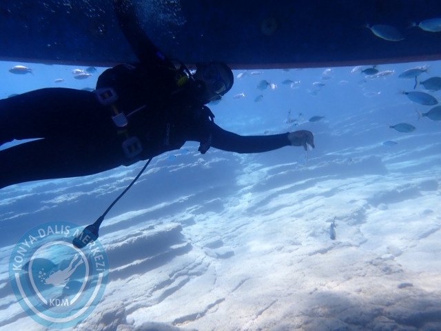 11-12 Eylül Bodrum