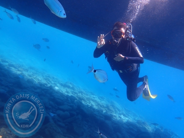 11-12 Eylül Bodrum