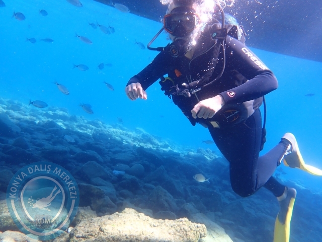 11-12 Eylül Bodrum