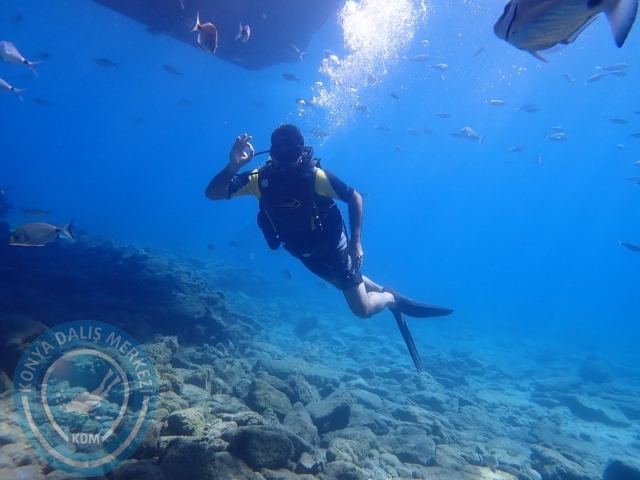 11-12 Eylül Bodrum