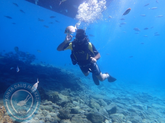 11-12 Eylül Bodrum