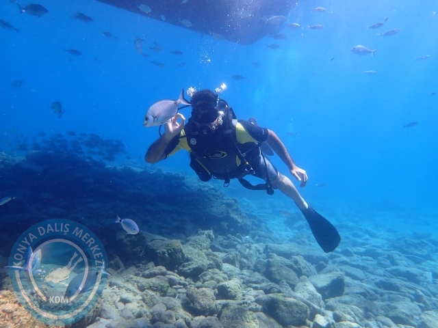 11-12 Eylül Bodrum