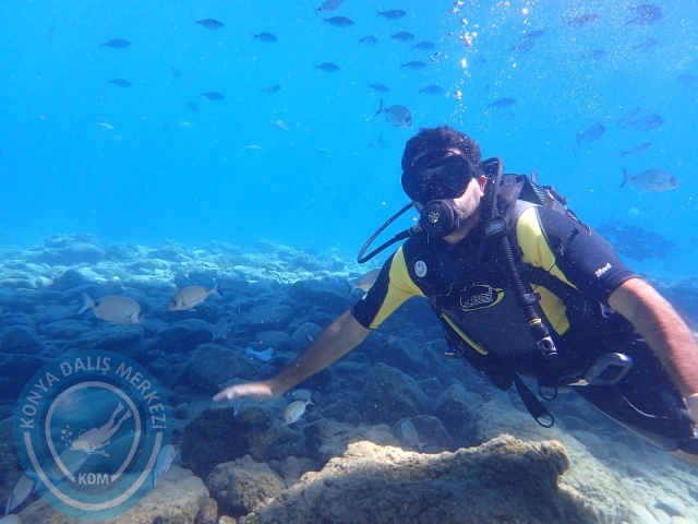 11-12 Eylül Bodrum
