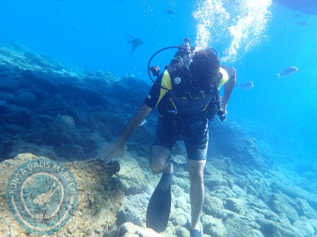 11-12 Eylül Bodrum