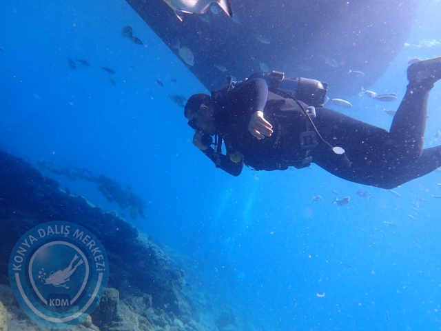 11-12 Eylül Bodrum