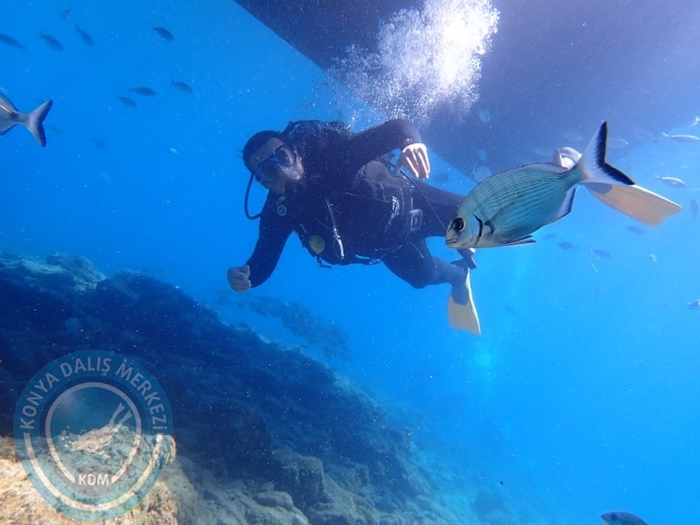 11-12 Eylül Bodrum