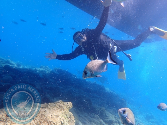 11-12 Eylül Bodrum