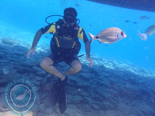 11-12 Eylül Bodrum