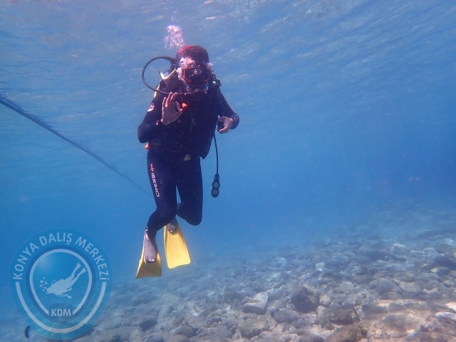 11-12 Eylül Bodrum