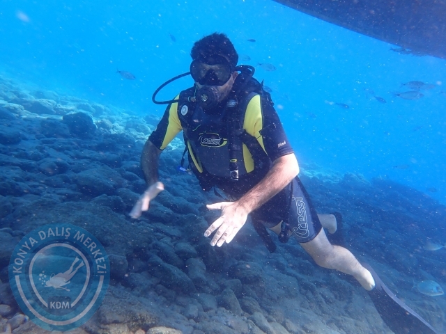 11-12 Eylül Bodrum
