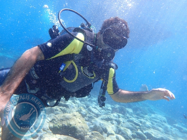 11-12 Eylül Bodrum