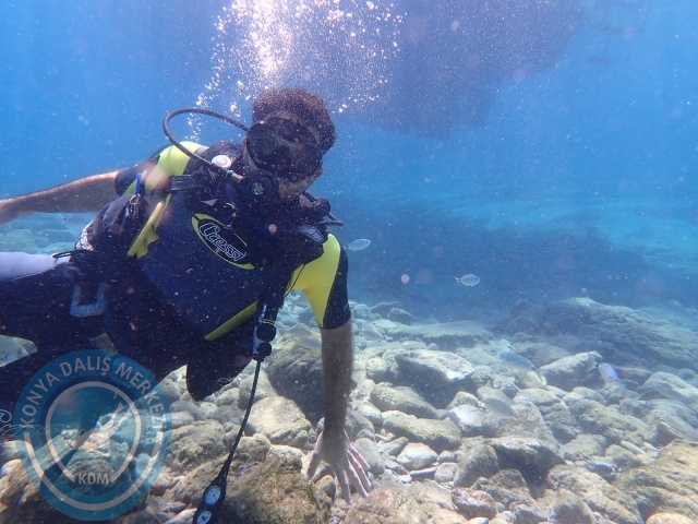 11-12 Eylül Bodrum