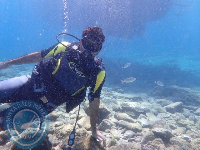 11-12 Eylül Bodrum