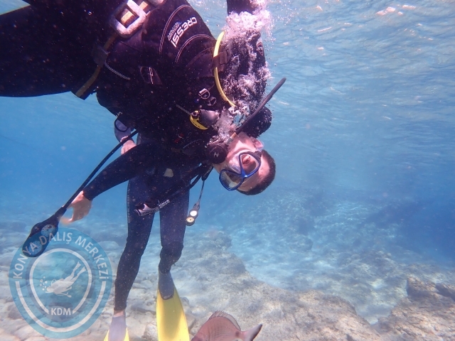 11-12 Eylül Bodrum