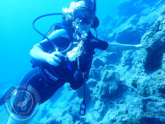 11-12 Eylül Bodrum