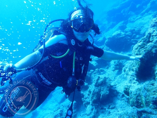 11-12 Eylül Bodrum