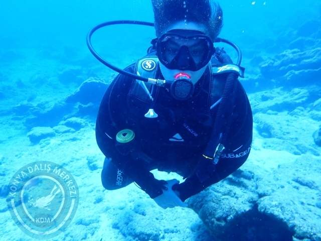 11-12 Eylül Bodrum