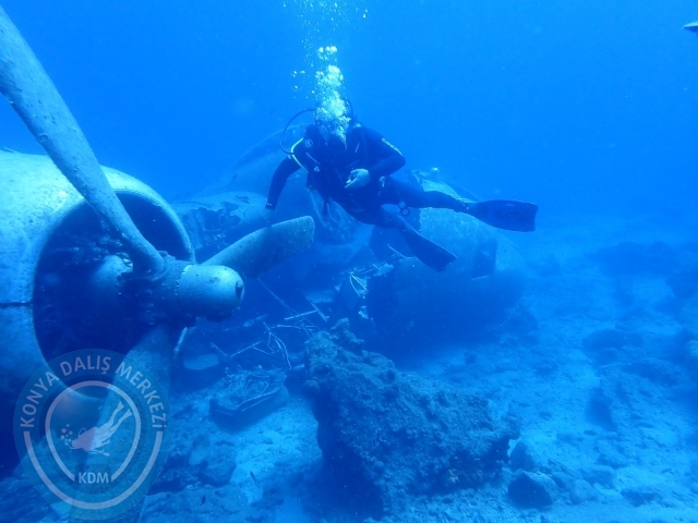 11-12 Eylül Bodrum