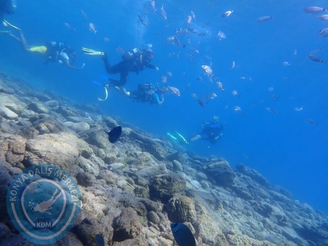 11-12 Eylül Bodrum