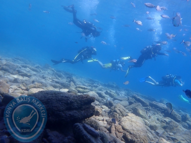 11-12 Eylül Bodrum