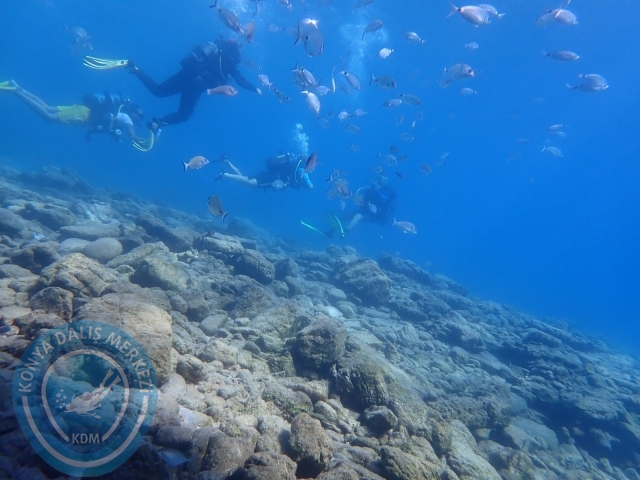 11-12 Eylül Bodrum