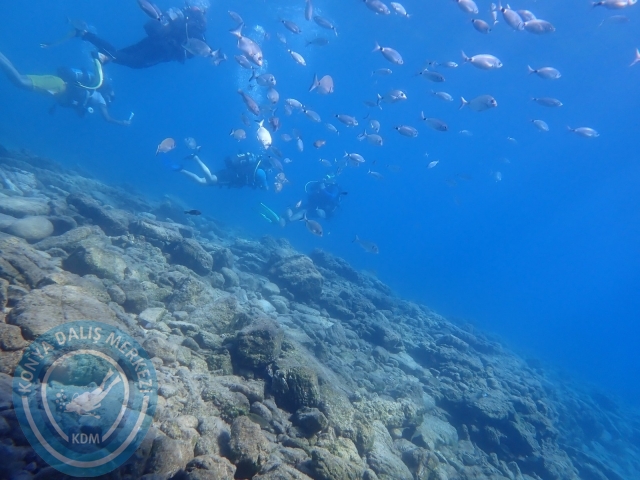 11-12 Eylül Bodrum