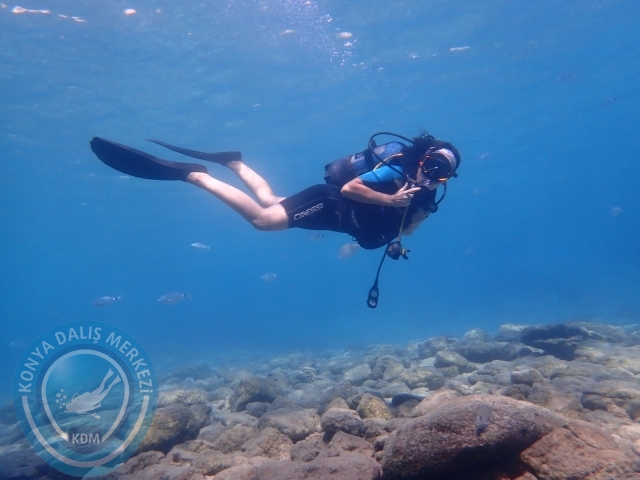 11-12 Eylül Bodrum