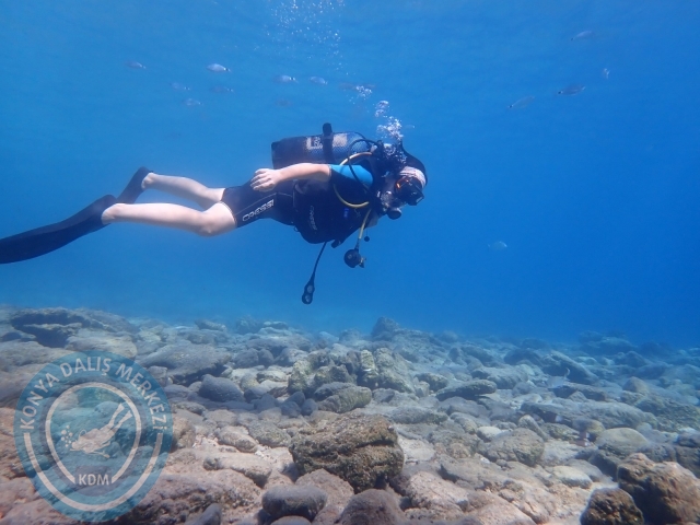 11-12 Eylül Bodrum