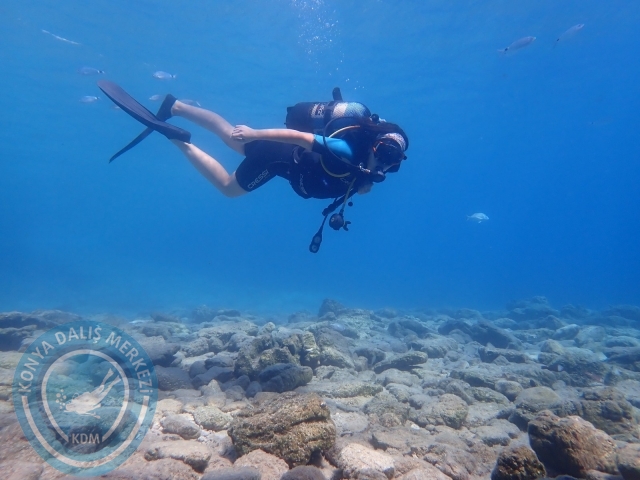 11-12 Eylül Bodrum