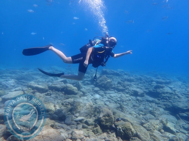 11-12 Eylül Bodrum