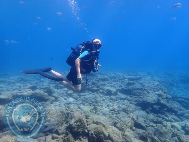 11-12 Eylül Bodrum
