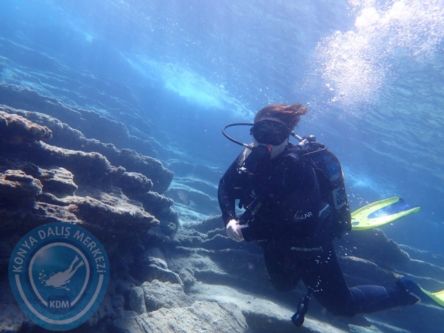 11-12 Eylül Bodrum