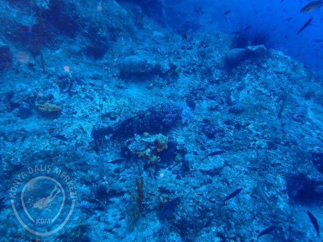 11-12 Eylül Bodrum