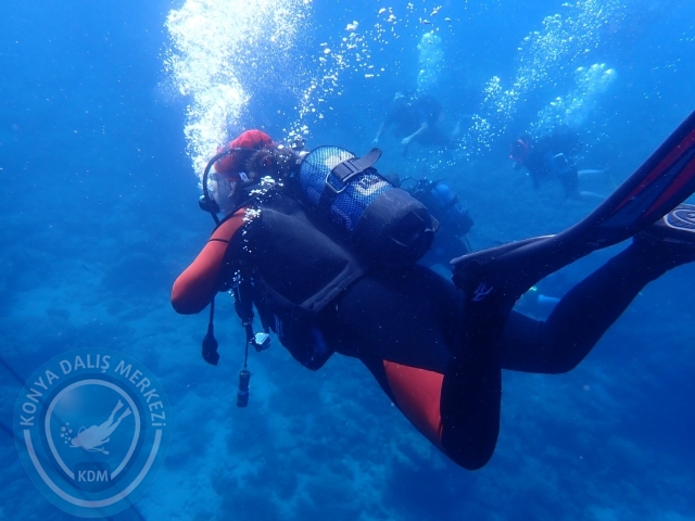 11-12 Eylül Bodrum