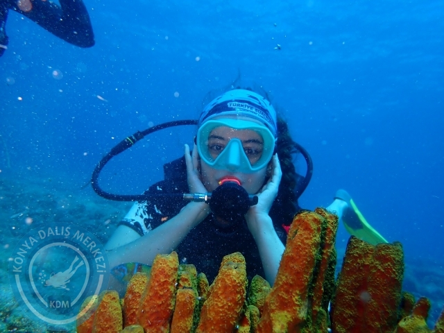 11-12 Eylül Bodrum